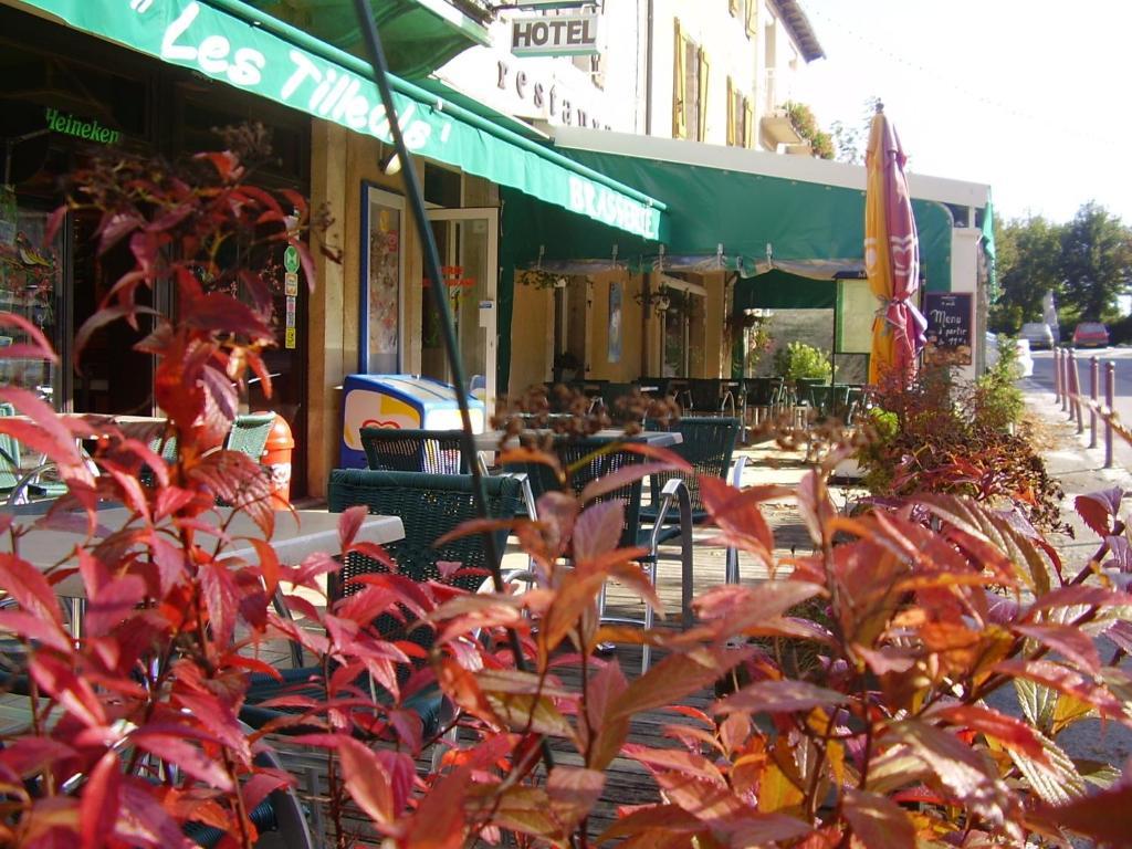 Hotel Les Tilleuls De Pareloup A Salles-Curan Exterior foto
