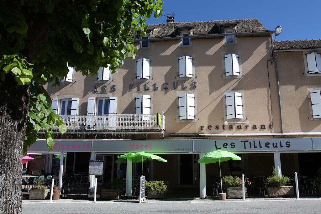 Hotel Les Tilleuls De Pareloup A Salles-Curan Exterior foto